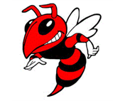 Branford Little League Baseball